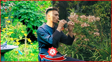 Vedio ko colorfull kaise banaye | video me color editing kaise kare | kinemaster video | VE Tech 01