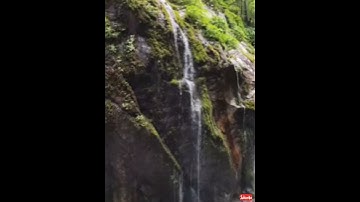 سورة العصر شیخ سعد الغامدی