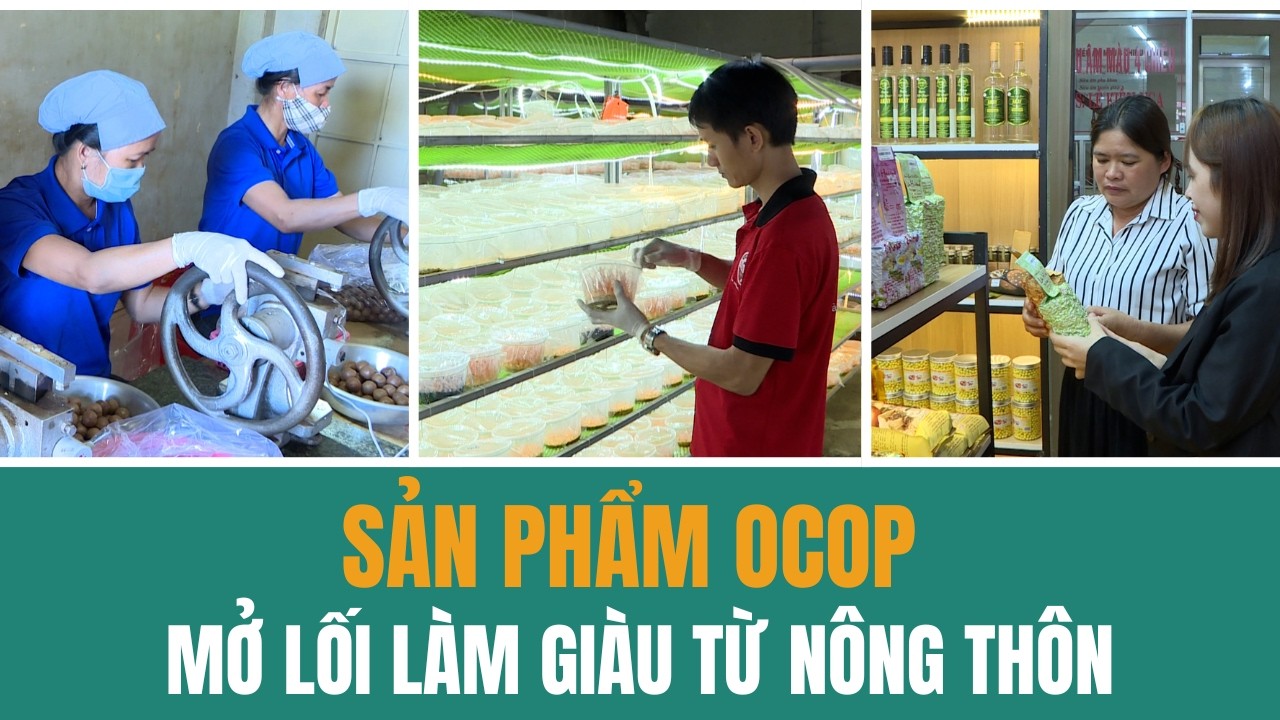 Sản phẩm OCOP mở lối làm giàu từ nông thôn