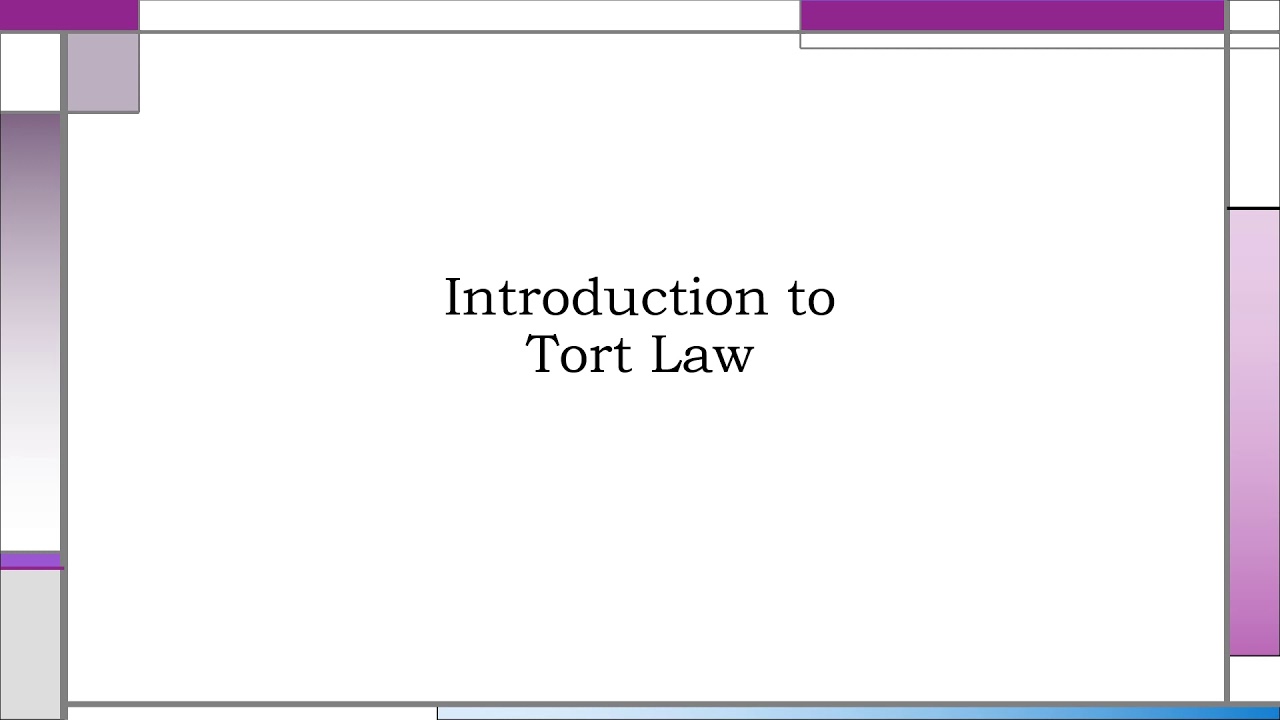 Introduction to Tort Law