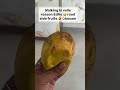 Seasonal fruits 🤗 #shorts #trendingshorts #fruitspluking #roads #cousinsfun
