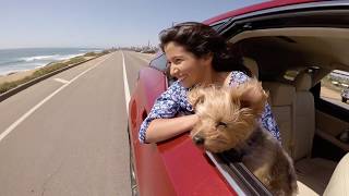 Dear Diary: I Love My Lexus RX 350L | Lexus Carlsbad