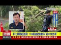 彰化縣颳起強風！ 139縣道路樹斷裂「砸中休旅車」