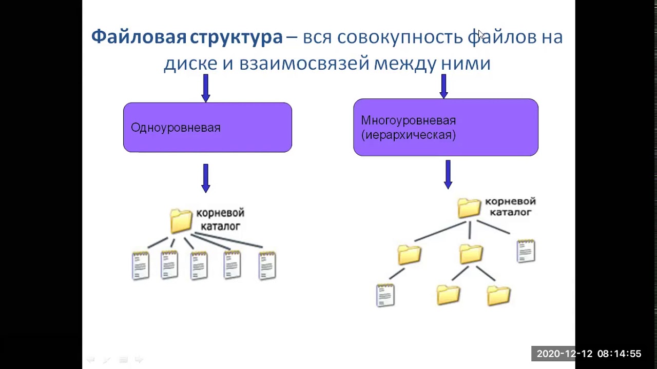 Файловые структуры информатика 7 класс. Файловая система Информатика 7 класс. Файловые структуры Информатика 7 класс босова. Файловые структуры 7 класс Информатика. Файловая структура это в информатике.