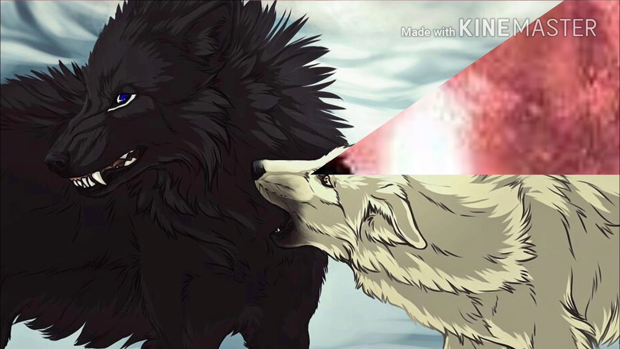 White Wolf Anime / Wolf Anime Wallpaper Animals Library ...