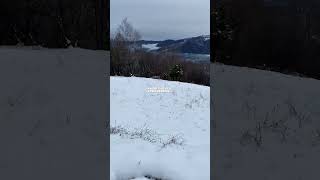 Fisarmonica Sotto la Neve ❄️ | Liscio Folk per Ballo in Balera #folk #fisarmonica #accordion
