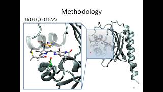 Insight Into Photochemistry of Red/Green Cyanobacteriochromes: Lectured by Prof. Igor Schapiro