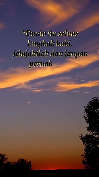 Soe Hok Gie quotes #motivasi #katabijak