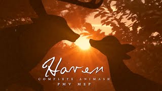 haven | animash PMV MEP