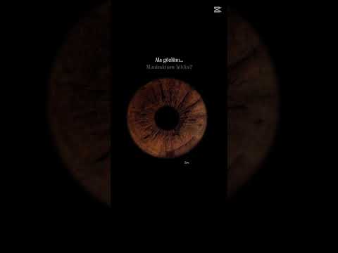 ALA GOZLUM Deep Emotions Brown Eyes And Endless Nights TurkishMusic BrownEye Shorts