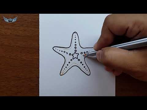 Video: Bir Deniz Yıldızı Nasıl çizilir