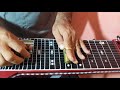 Grandioso ès Tu Guitarra Havaiana Hawaiian Steel Guitar 12 cordas