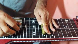 Grandioso ès Tu Guitarra Havaiana Hawaiian Steel Guitar 12 cordas chords
