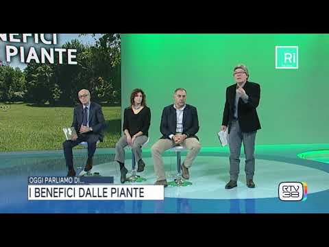 Video: Gli Effetti Benefici Delle Piante. Parte 1