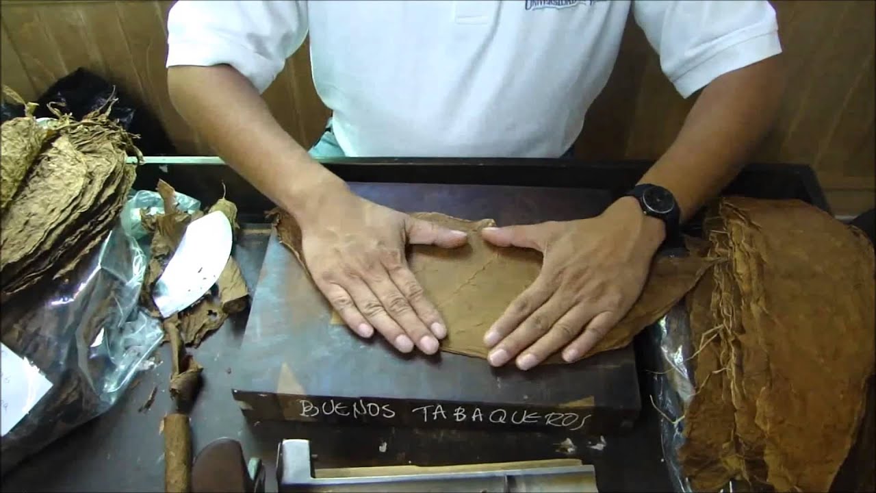 Vom Tabakblatt zur Zigarre