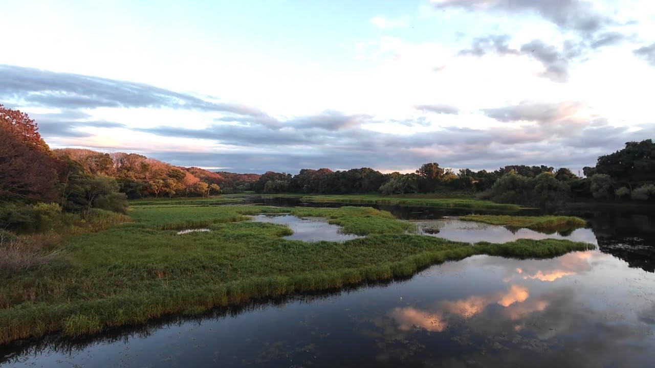 V3a@ Original Gregorian / 432Hz / Relaxation BGM