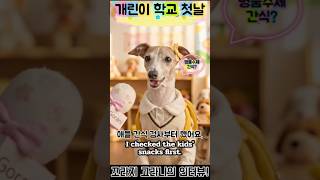개린이 학교 첫 등교, 친구보다 중요한 건?! 🎒#강아지인터뷰 #강아지유치원 #댕댕이학교 #강아지개그 #고라니라니 #강아지쇼츠