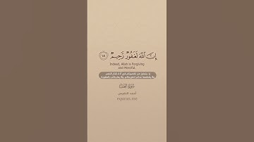 سورة النحل [ 17 : 21 ] ~ الشيخ أحمد النفيس
