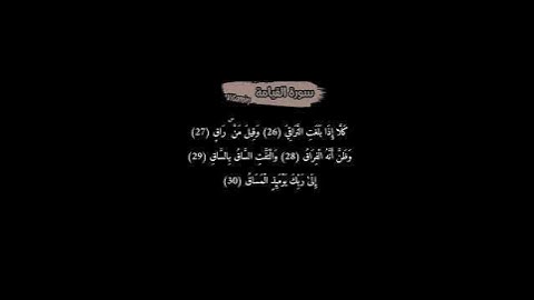 سورة القيامة بصوت الشيخ أحمد العجمي #vitamin #القرآن_الكريم #اكسبلور