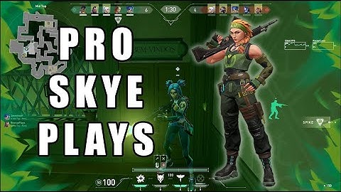 How to properly use the Skye DOg