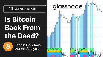 Is Bitcoin Back From the Dead? (On-chain Analysis Market Update)