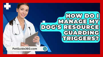 How Do I Manage My Dog