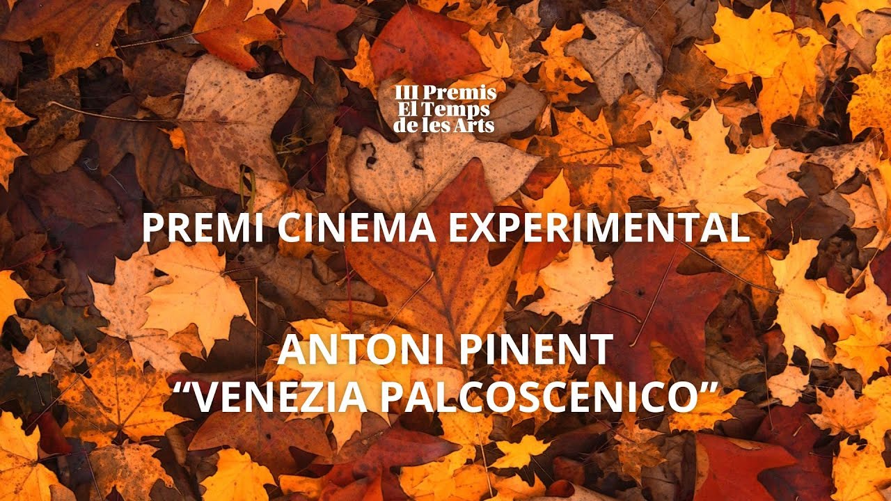Entrevista Premi Cinema Experimental dels III Premis El Temps de les Arts