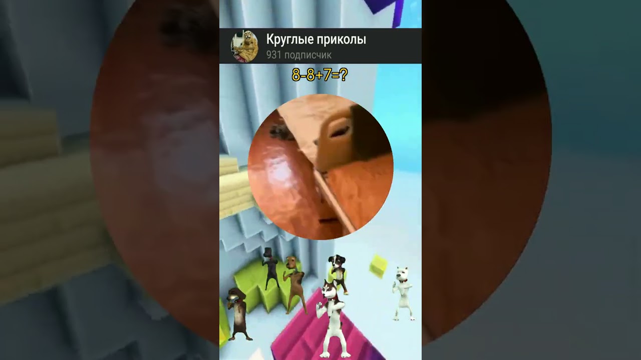 Круглые приколы #kruglishi1221 #приколы #круглыеприколы