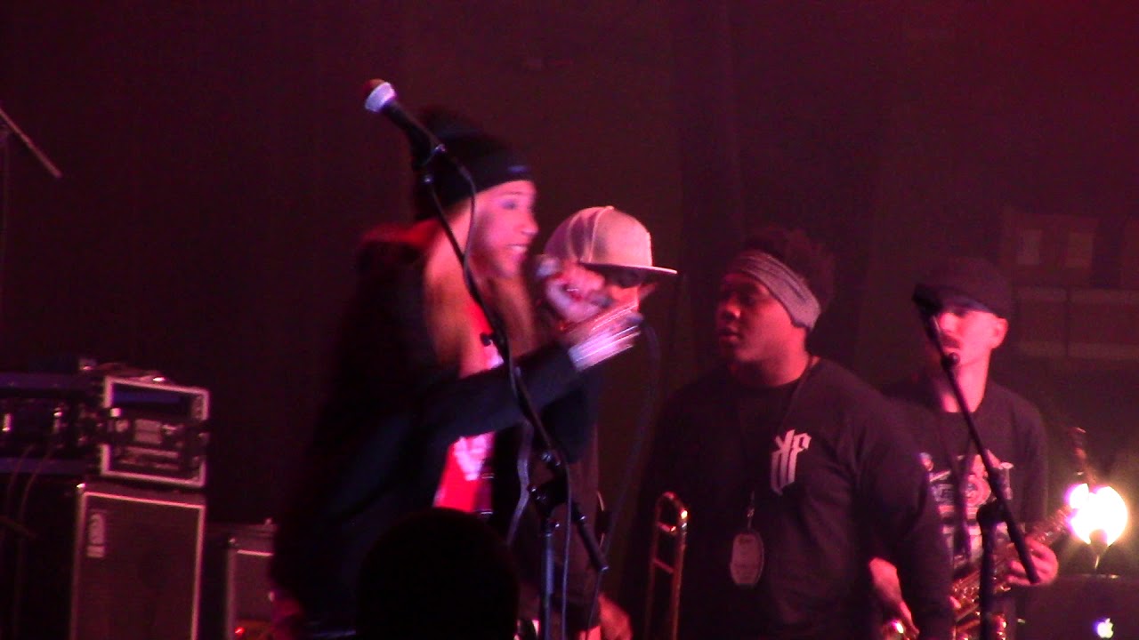 Shubzilla live at MAGFest 2017