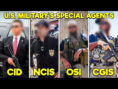 How Does Every U.S. Military Branch Solve Crimes?