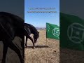 Карачаево-Балкарцы 𖤊ᨒ