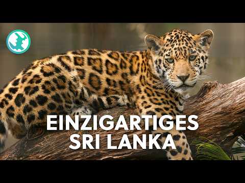XXL-Doku: Die wahre Perle des Indischen Ozeans - Sri Lankas unglaubliche Naturschätze