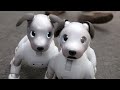 Aibo de Sony: El perrito robot es más adorable en su segunda versión