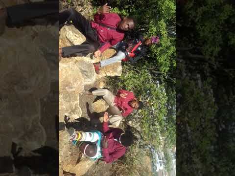 Impilo nzima