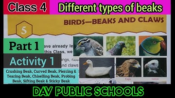 DAV class 4 Science chapter 5 Birds - Beaks and Claws