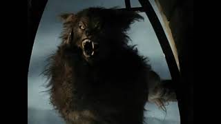 Werewolf Cursed 2005