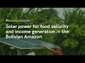 Sunshine Stories – Solar power for food security and income generation in the Bolivian Amazon