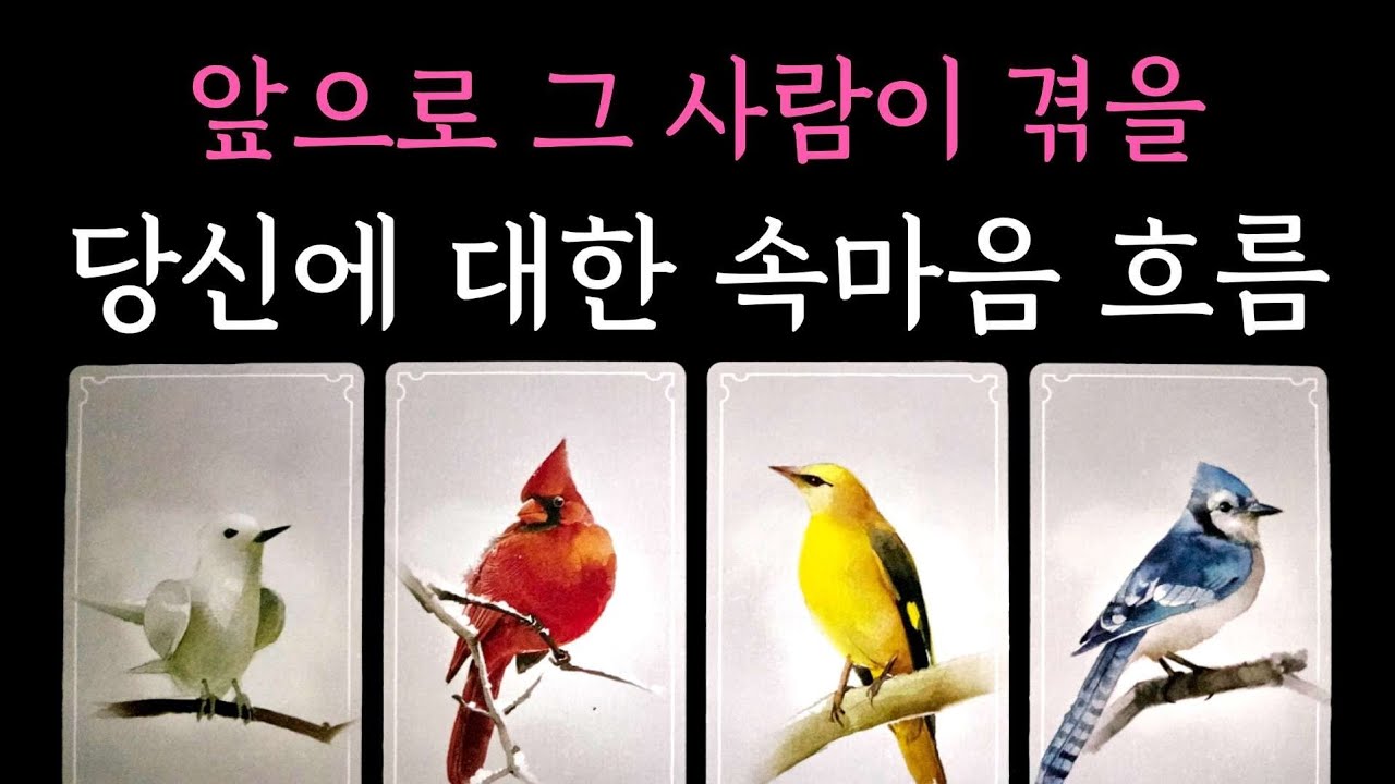 [타로] 독심술 꿰뚫어봄 팩폭 주의💫 앞으로 그 사람이 겪을 당신에 대한 속마음 흐름