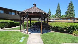Olympus Park Apartments in Roseville, CA - ForRent.com