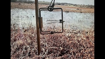 Muskrat Trapping with Madtrapper