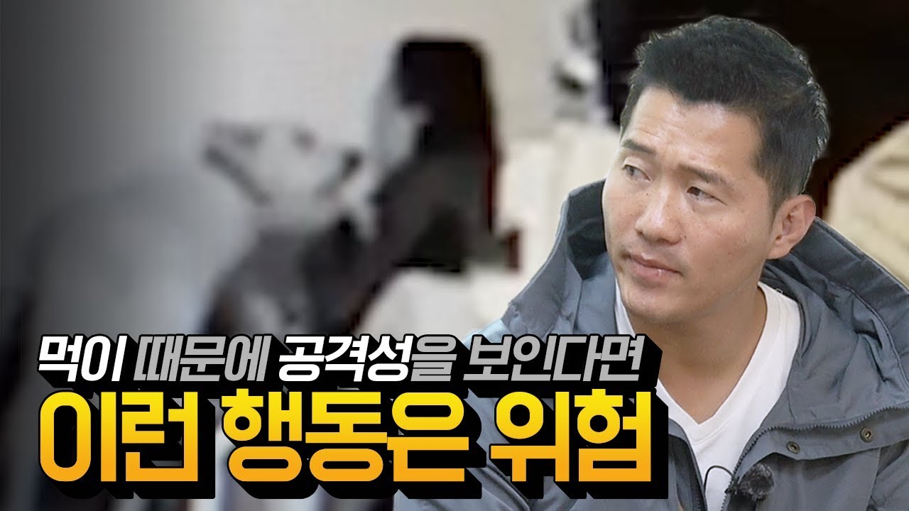 먹이 때문에 공격성을 보인다면 이런 행동은 위험｜내 강아지의 공격성 하이라이트