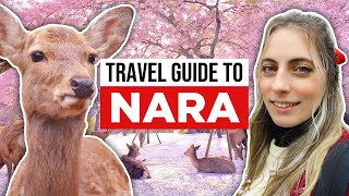 Ultimate Guide to NARA, JAPAN
