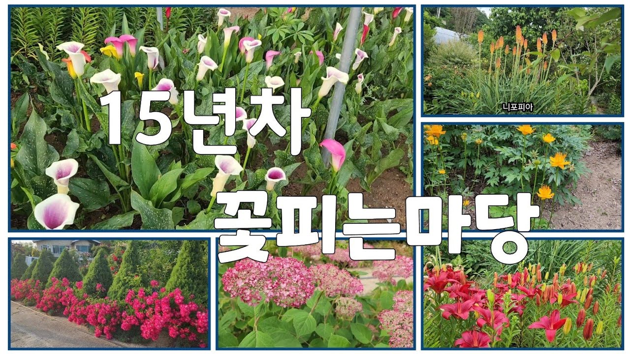 매일 놀라운 우리집 정원의 변화