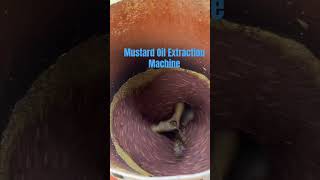 Mustard Oil Extraction Machine#adventure #automobile #money #wedding #love #funny #travel #vlog