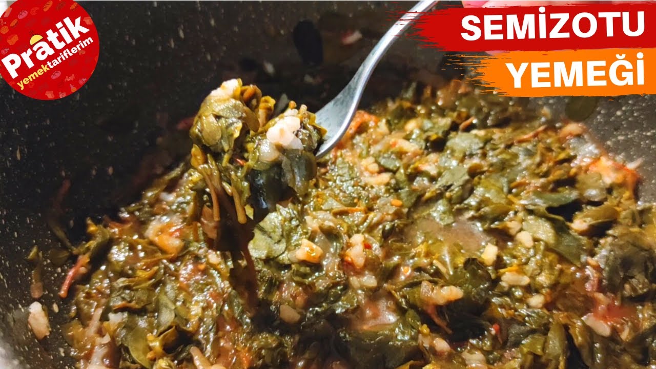 Semizotu Yemeği Nasıl Yapılır? – Zengin OMEGA 3 – Tam bir Şifa Kaynağı – Pratik Yemek Tariflerim
