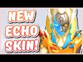 Overwatch - NEW ECHO AND ROADHOG SKINS