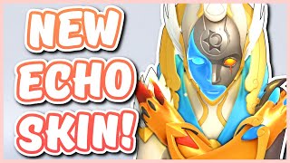 Overwatch - NEW ECHO AND ROADHOG SKINS