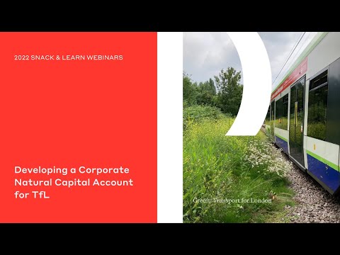 Developing a Corporate Natural Capital Account for TfL