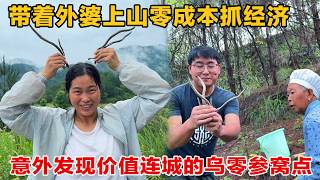 赚翻了！带外婆上山零成本抓经济，意外发现价值连城的乌灵参窝点 screenshot 3