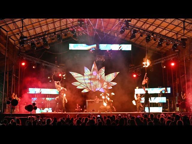 COSMIC KINECTION Music, Art & Wellness Festival
